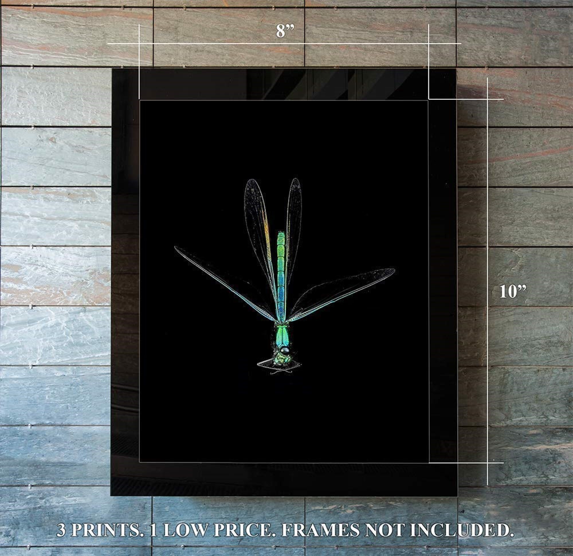 Dragonfly Wall Art / Dragonfly Print / Dragonflies Art / Dragonfly