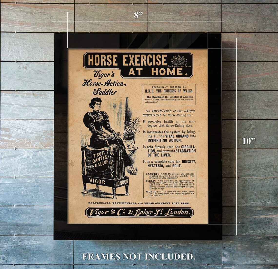 Vintage Advertising Prints Horse Action Saddle Exercise | Etsy