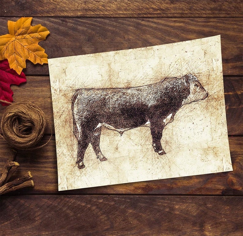 Cow Wall Art Farm Animal Print Hereford Bull Art Etsy