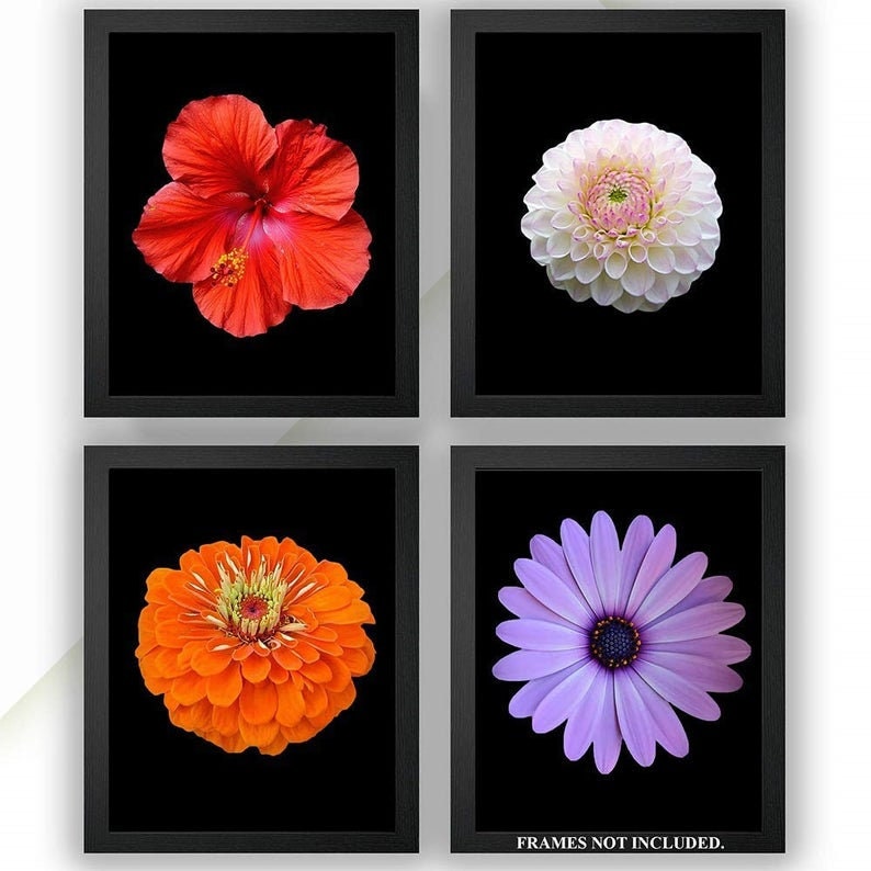 Floral Wall Art Set Simple Flower Print Flowers Minimal Etsy