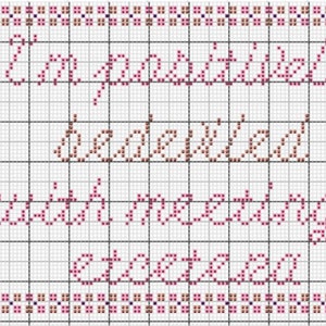 May include: Cross-stitch pattern with a pink and brown border. The pattern reads "I'm positively bewildered with the changes I've experienced."
