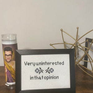 Framed Cross Stitch Schitt&#39;s Creek