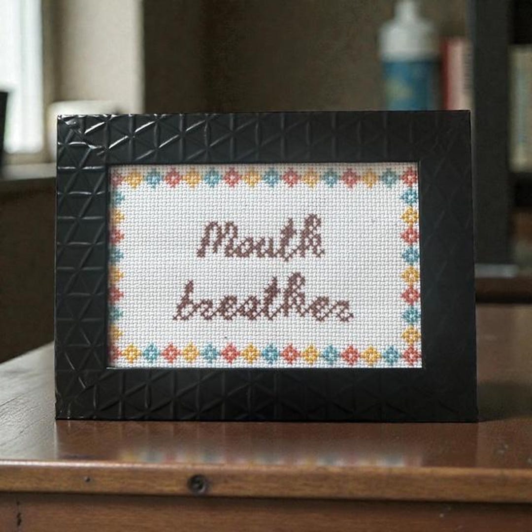 Mouth Breather Cross Stitch in a Frame. Funny Home Decor. Funny Saying ...