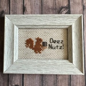 May include: A white framed cross-stitch with a brown squirrel holding a nut and the text "Deez Nutz!"