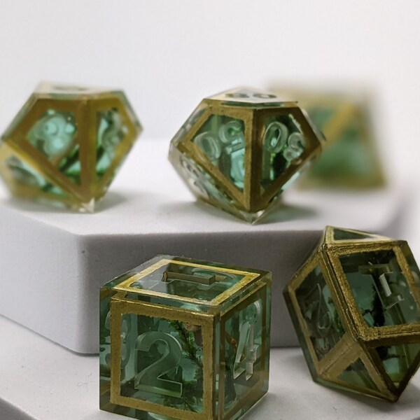 Terrarium dice