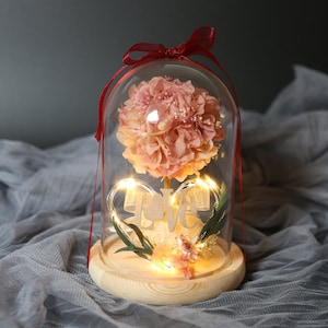 Preserved Flower Glass Dome with LED Hydrangea with LOVE Romantic gift Happy Birthday Gift