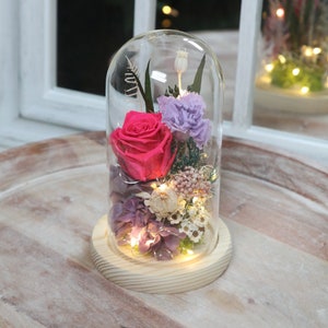 Preserved Flower Glass dome with Led 09