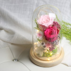 Preserved Flower Glass dome with Led 13