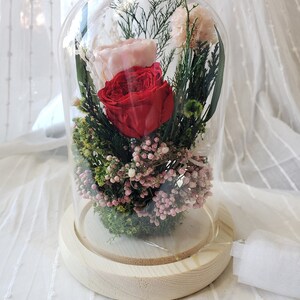 Preserved Flower Glass dome with Led Light | Buy Flower Glass Dome Online | Dried Flower Glass Dome