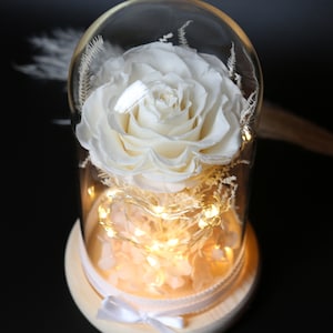 Preserved Flower Glass dome| Flower Arrangements | Flowers  Glass Dome | Dried Preserved Flower Arrangement in Glass Dome