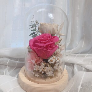 Preserved Purple Rose with LED Glass Dome | Preserved Flower Glass Dome | Purple Preserved Rose in Glass Dome