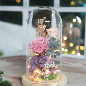 Preserved pink rose with LED Glass Dome 01