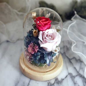 Preserved Flower Glass Dome with Led | Preserved Rose Glass Dome | Pink Preserved Rose in Glass Dome