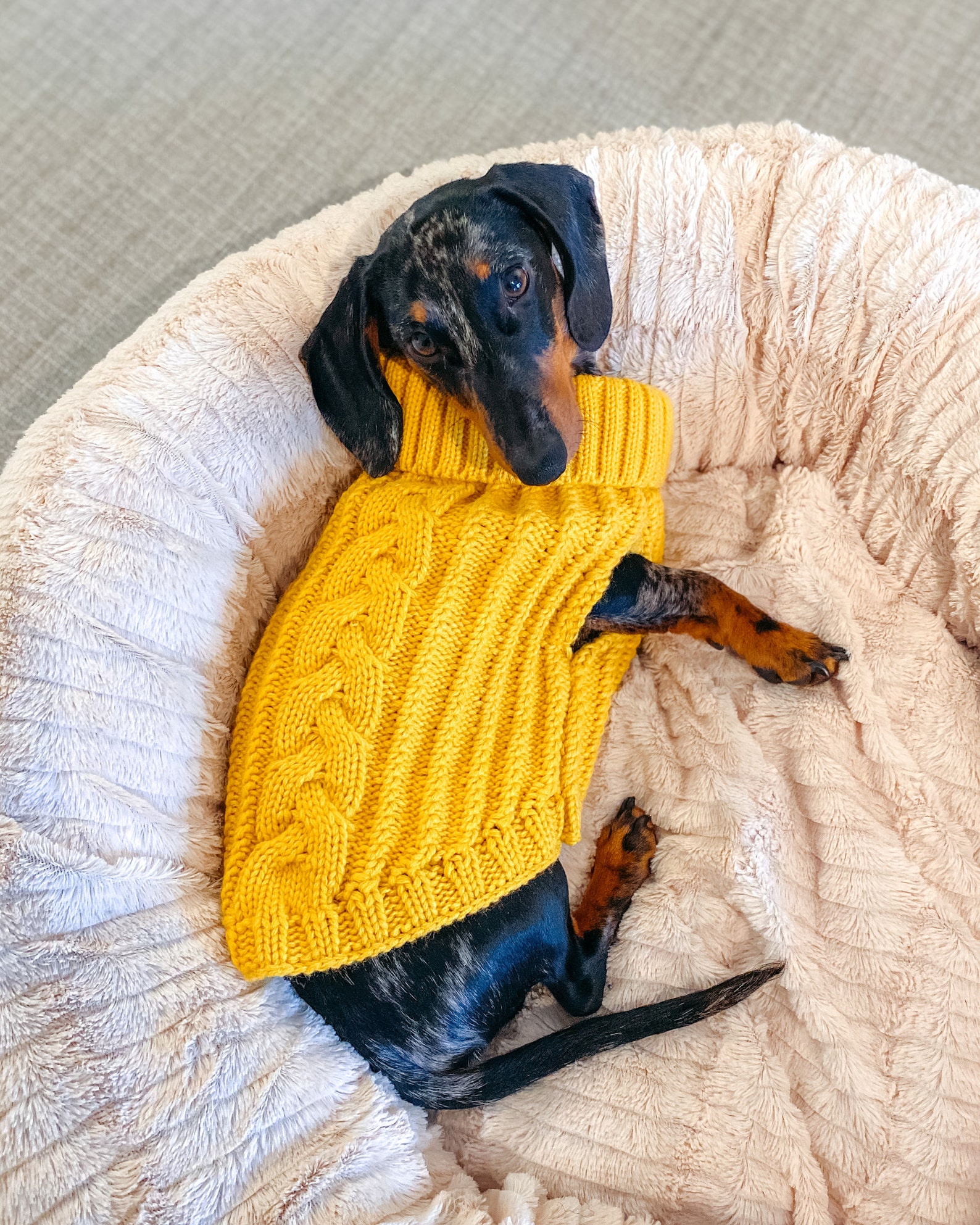 Chunky cable knit sleeveless dog jumper Mustard Etsy