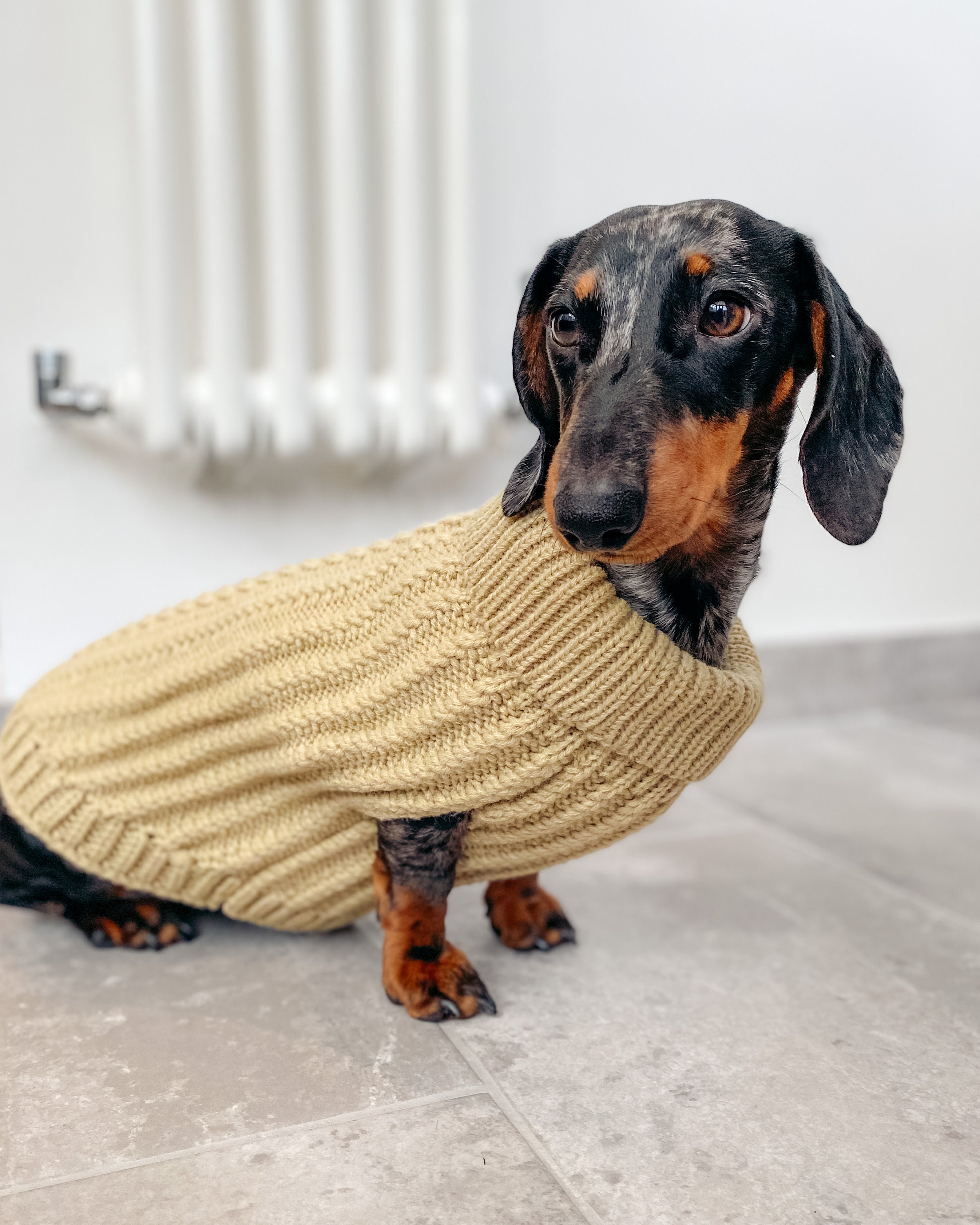 Chunky Kabel stricken ärmellose Hund Pullover Haferflocken Etsy