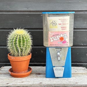Può includere: Un distributore automatico di gomme blu vintage con un coperchio in plastica trasparente, contenente una scatola di caramelle "Runts" e una pubblicità del Lions Club. Un cactus in vaso è a sinistra. La macchina ha una fessura per monete argentata e una manovella.