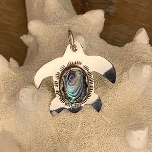 Sterling Silver Sea Turtle Pendant: Paua Shell Cabochon, 18&quot; Chain