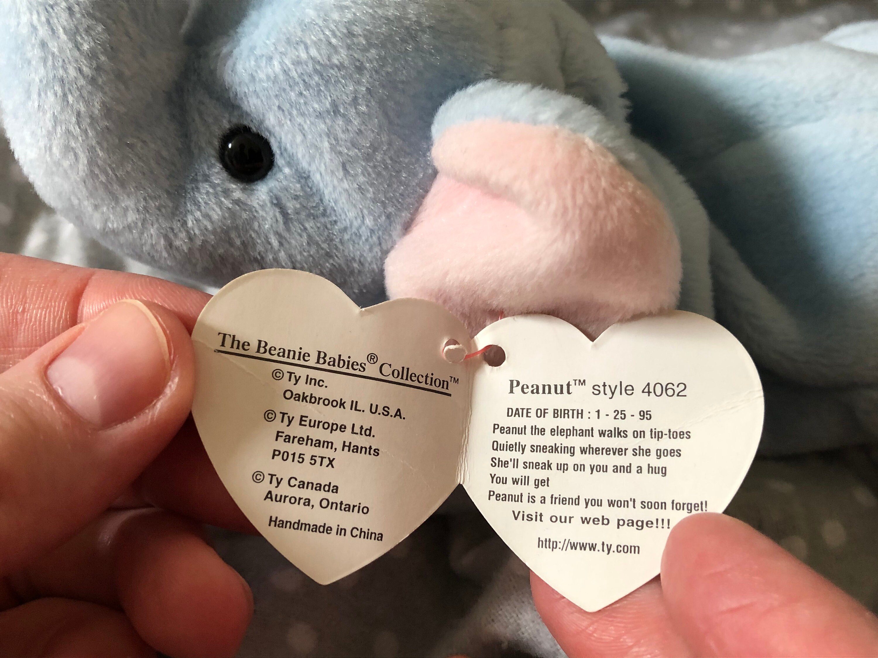 Ty Rare Peanut Beanie Baby - Etsy Canada