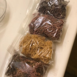 100% Wildcrafted Sea Moss