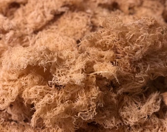 100% Organic Wildcrafted St. Lucia Sea Moss Wholesale