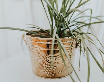 Hosley Solid Brass Vintage Grape and Leaf Embossed Planter, MCM Brass Planter,