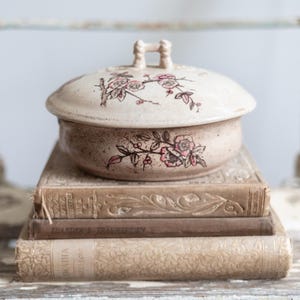 Antique Ironstone Pink Transferware Covered Soap Dish | Bird and Butterfly Floral Ironstone | Stained and Crazed Ironstone Soap Dish