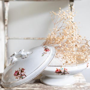 Antique French Moss Rose Ironstone Tureen | Covered Floral Ironstone Serving Dish | Antique Oval Pedestal Serving Bowl