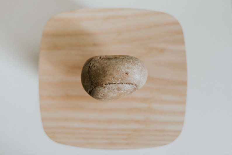 May include: A smooth, light brown stone with a slightly rough texture sits on a wooden surface.
