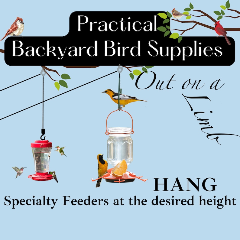 Out on a Limb Pulley System for hanging Bird Feeders, attract specialty birds, Oriole's and hummingbirds