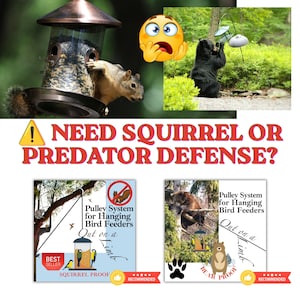 May include: A pulley system for hanging bird feeders featuring a squirrel-proof and bear-proof design. The graphic includes text reading NEED SQUIRREL OR PREDATOR DEFENSE?, Pulley System for Hanging Bird Feeders, Out on a Limb, and BEST SELLER.