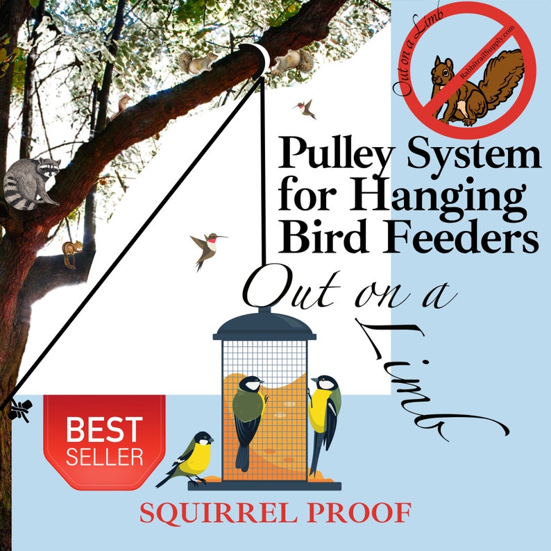 Out on a Limb Pulley System for hanging Bird Feeders, Squirrel Proof Best Seller