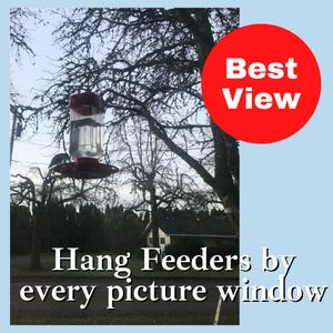 May include: A clear plastic bird feeder with a red base hanging from a tree branch. A red circle in the upper right corner contains the white text Best View. The white text at the bottom reads Hang Feeders by every picture window.