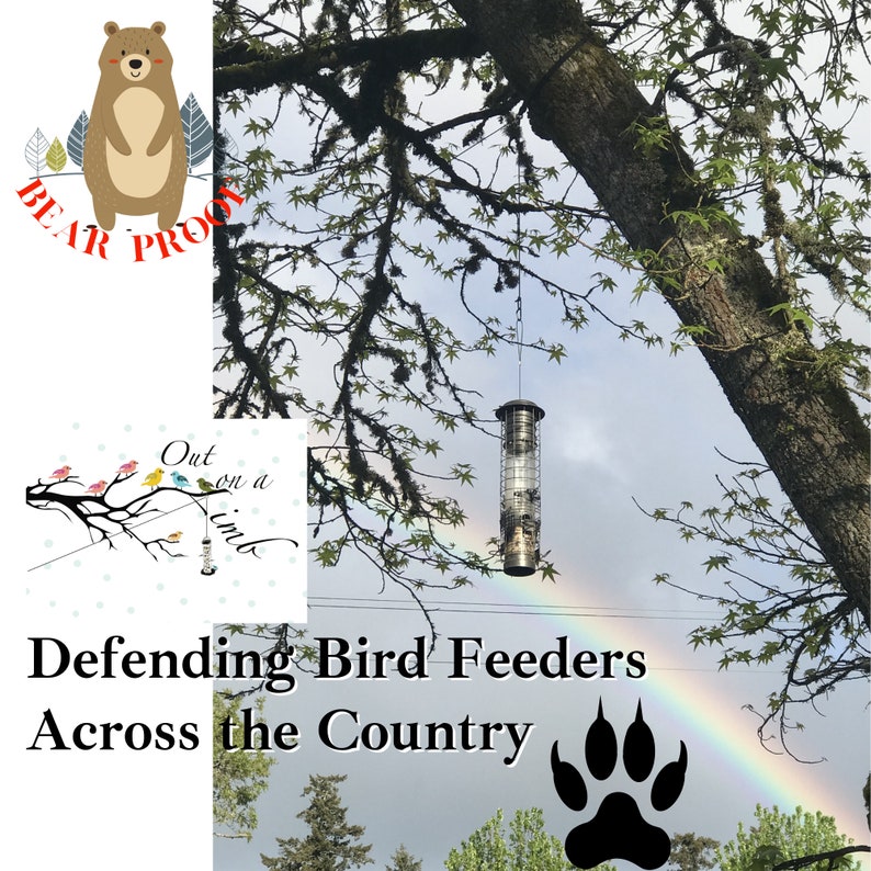 Bear Proof Out on a Limb Pulley System for Hanging Bird Feeders Etsy