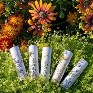 May include: Five lip balm tubes with white and pastel-colored labels, featuring botanical illustrations and the words "Lip Balm." The tubes are arranged on a bed of green grass and small white flowers, with orange and yellow flowers in the background.