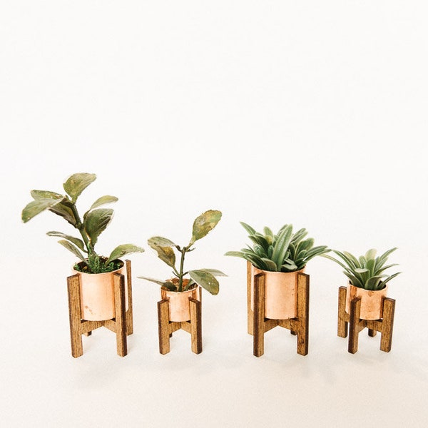 Miniature Plant with Stand- 1:12 Scale