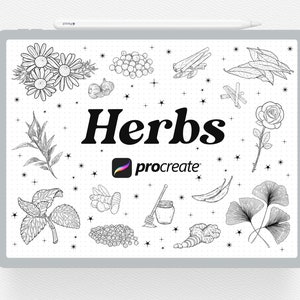 May include: Black and white line drawings of various herbs and spices, including chamomile, rosemary, cinnamon, bay leaves, ginger, and ginkgo biloba. The text "Herbs" and the Procreate app logo are also included in the image.