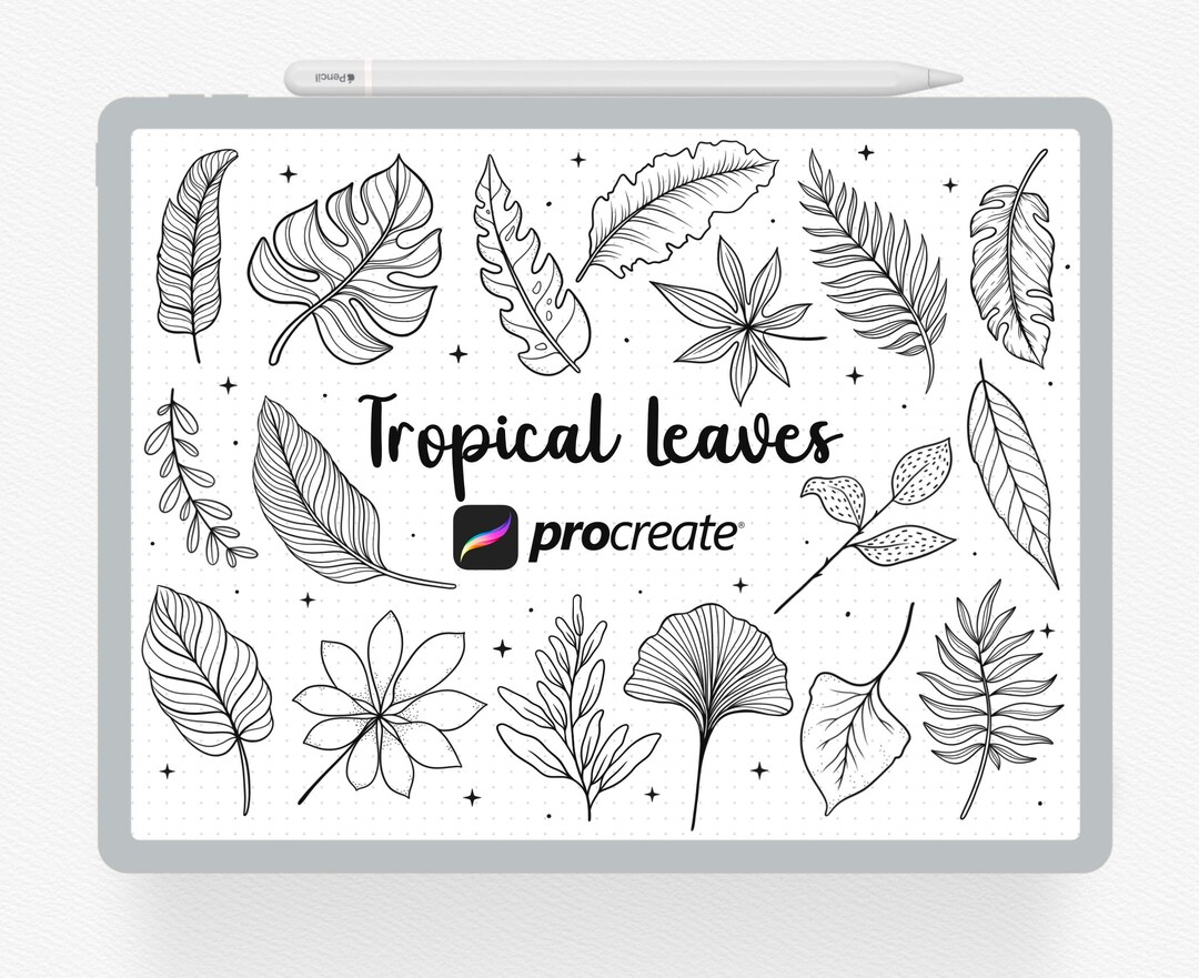 Procreate Stamps, 36 Tropical Leaves Procreate Stamp, Flower Brush Set ...