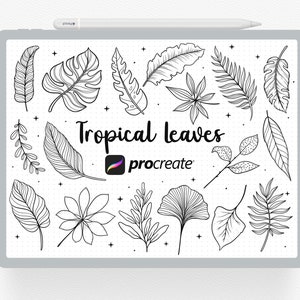 Procreate Stempel, 36 Tropische Blätter, Blumenpinsel-Set, Jungle Leaves Stamps, Botanische Blattpinsel