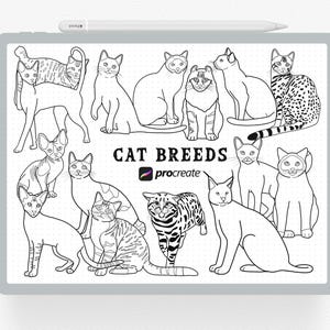 Procreate Stamps, 50 Cat Breeds Procreate Stamp, Unique Cats Brush, Cat Lover Digital Stamp, I Pad Procreate Stamp Brushes