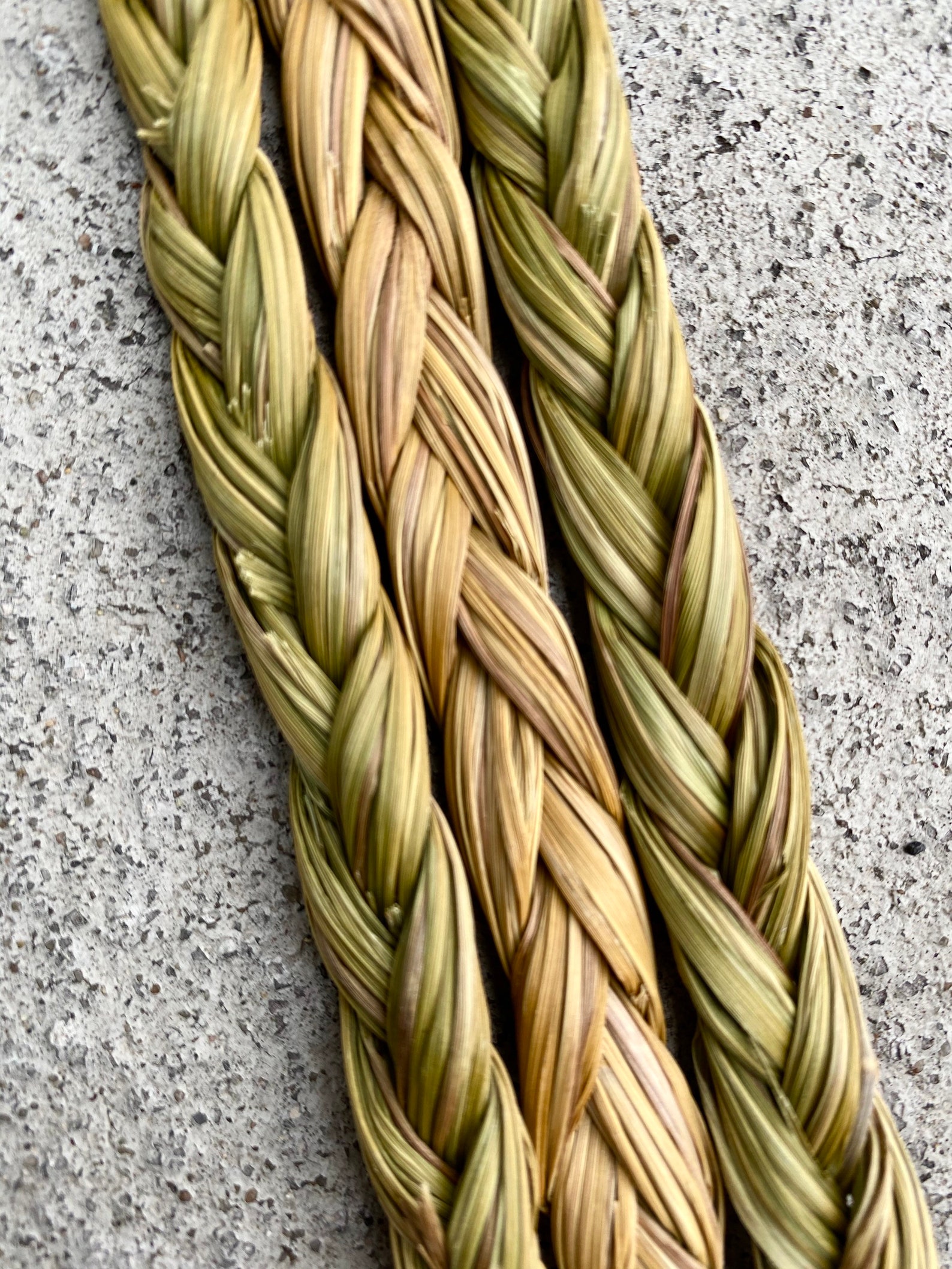 Canadian Sweetgrass Braids for Smudging & Spirituality Etsy Canada