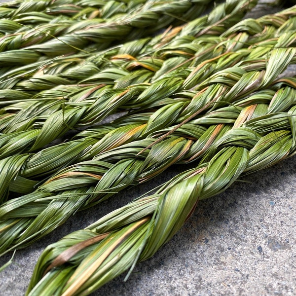 Canadian Sweetgrass Braid