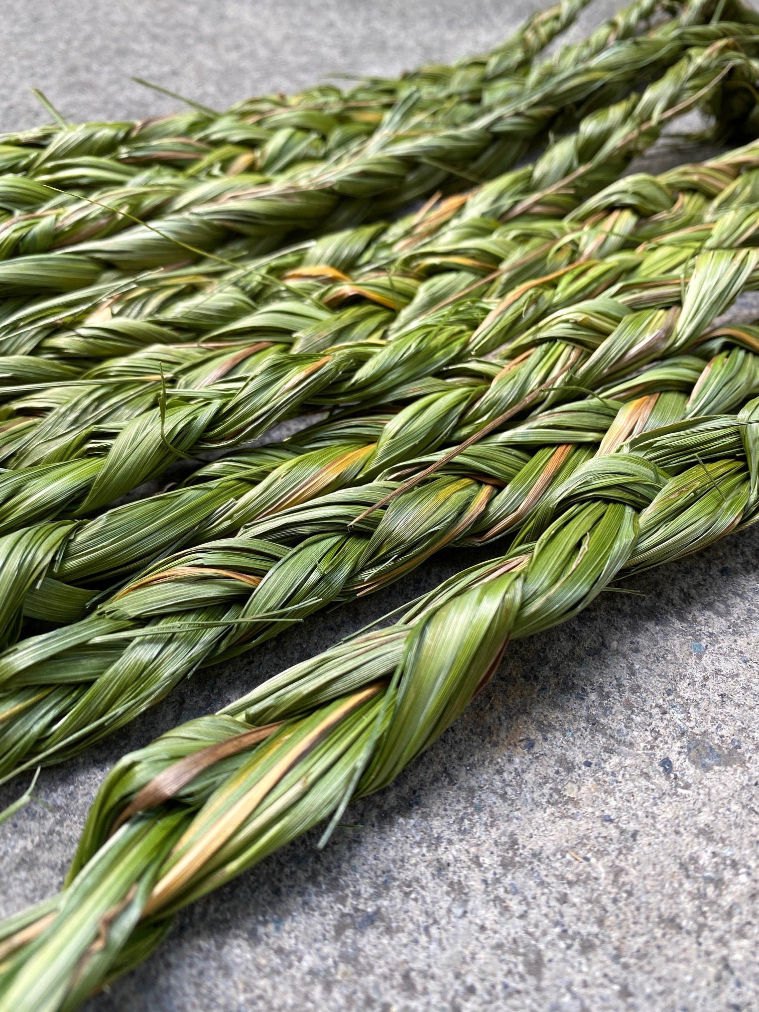 Canadian Sweetgrass Braids for Smudging & Spirituality From