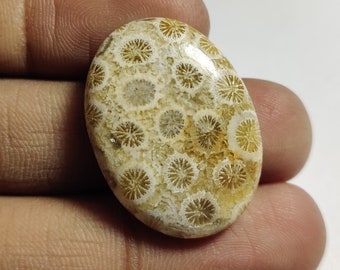 26x15x5 mm 17 Ctr. Making Pendant Loose Gemstone Semi Presiouse Fossil Coral Wonder Full Natural Fossil Coral Cabochon Gemstone