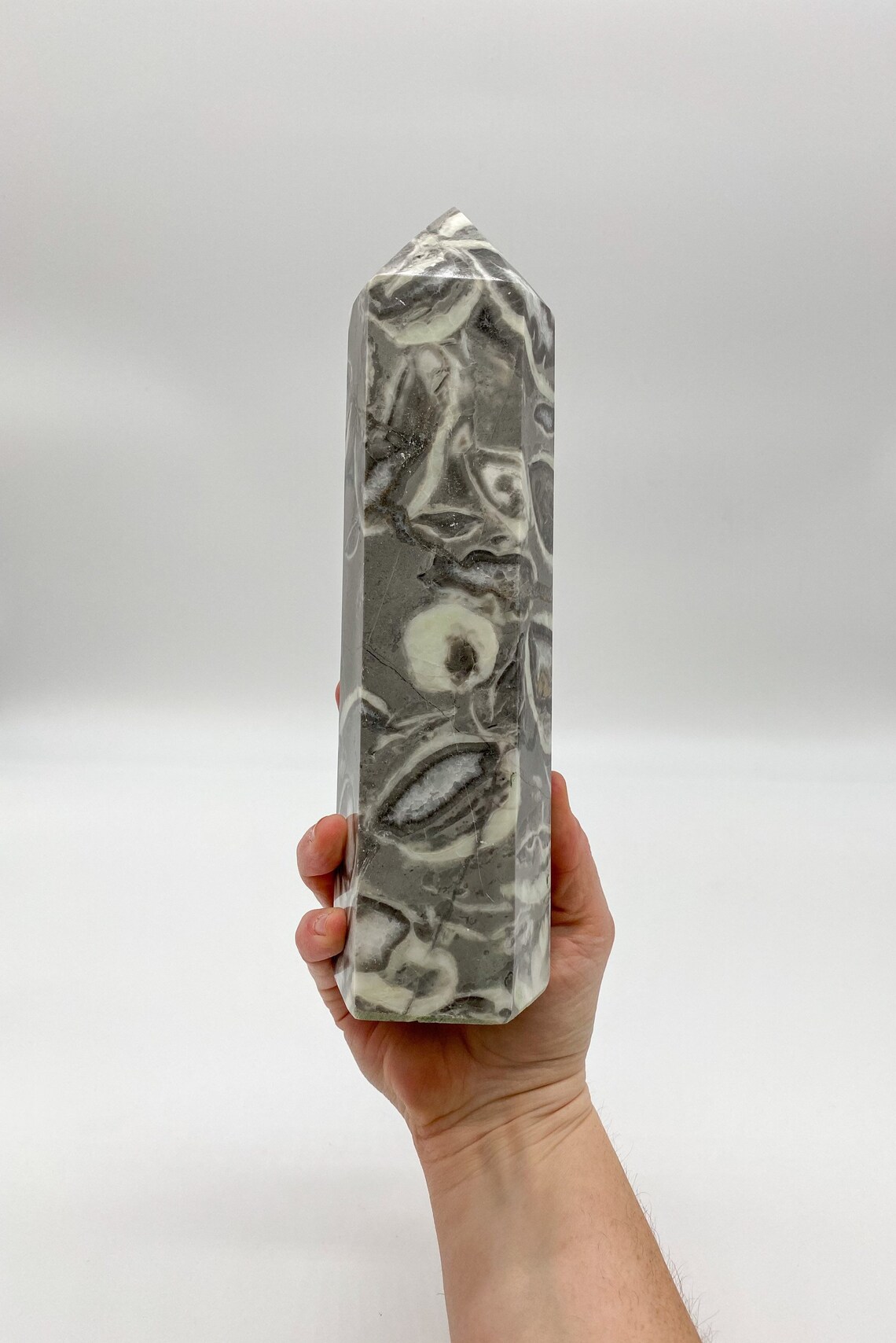 4LB Natural Shell Stone Thousand Eye Jasper Quartz Crystal Etsy