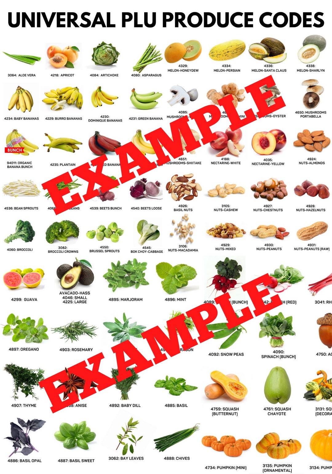 Universal PLU Produce Codes Cashiers Guide for Grocery Storesdigital