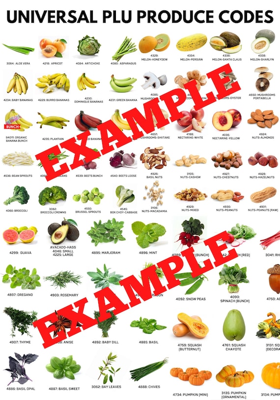 Universal plu produce codes cashiers guide for grocery etsy canada