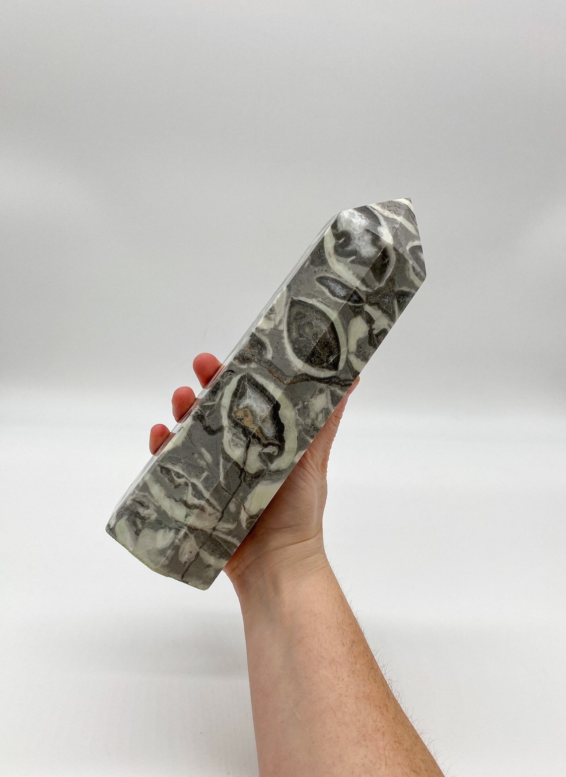 4LB Natural Shell Stone Thousand Eye Jasper Quartz Crystal Etsy