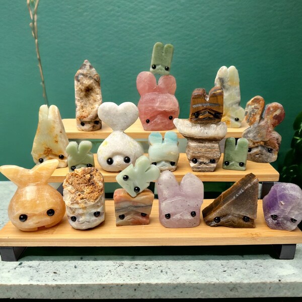 Mystery FUNKY Crystal Buddies, Pet Rock