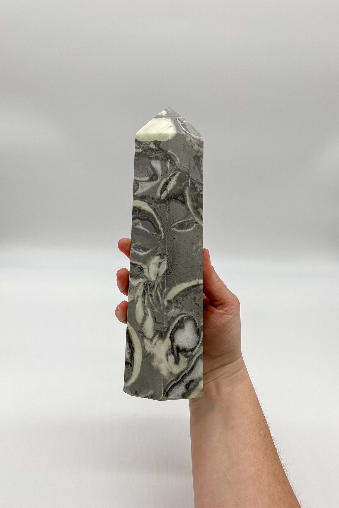 4LB Natural Shell Stone Thousand Eye Jasper Quartz Crystal Etsy