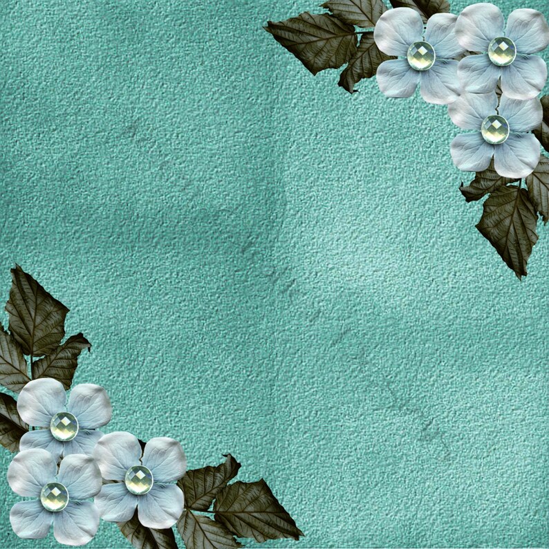Teal Bird Digital Papers 12 x 12 300 dpi